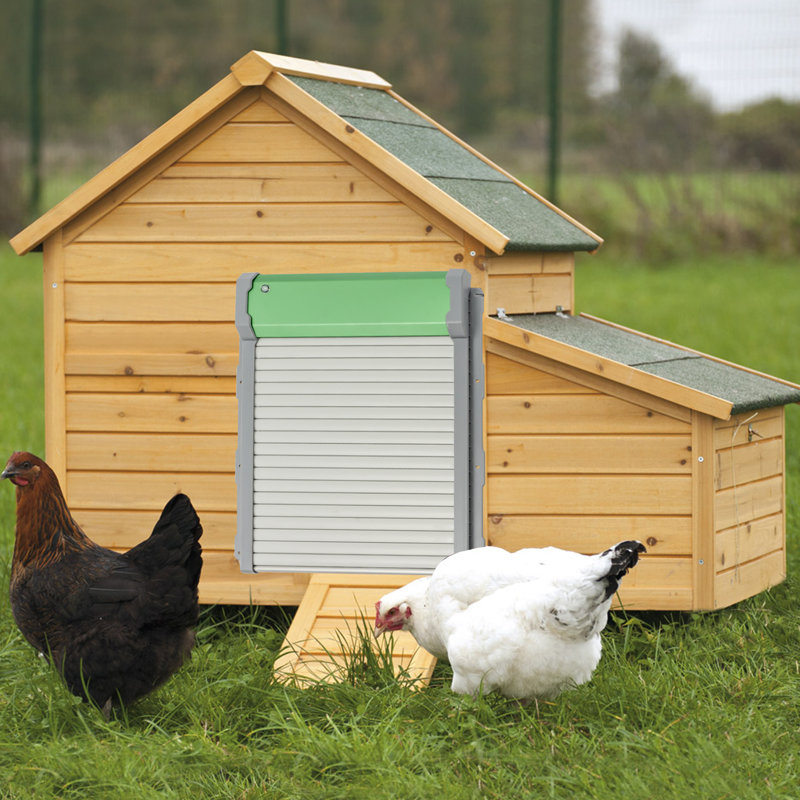 Tucker Murphy Pet™ Automatic Chicken Coop Door, Solar Powered